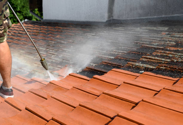 Trusted Chestertown, MD Pressure Washing Experts