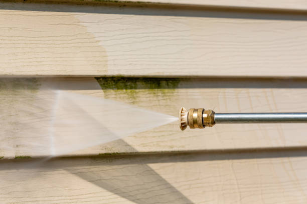 Professional Pressure Washing in Chestertown, MD